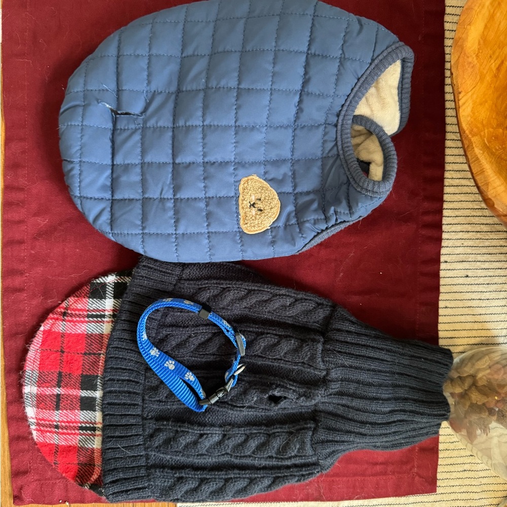 Two small dog coats